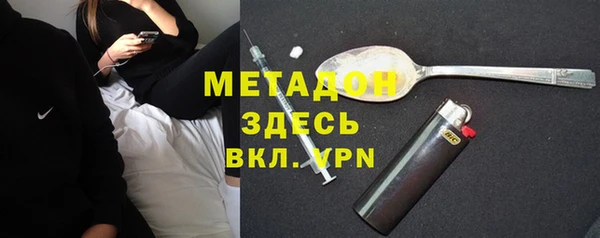 прущие грибы Балахна
