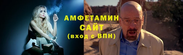 прущие грибы Балахна