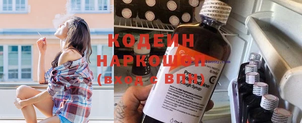 прущие грибы Балахна