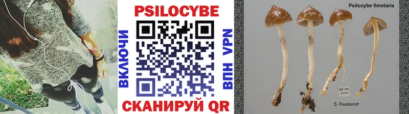 Псилоцибиновые грибы ЛСД  Великий Устюг 